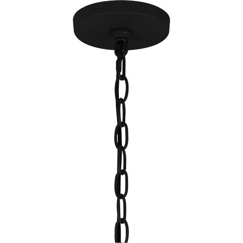 Quoizel QOP5355EK | Adeline 4 Light 21 inch Earth Black Pendant Ceiling Light