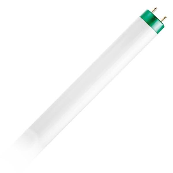Philips F30T8 | 30-Watt 3 ft. Linear T8 ALTO Fluorescent Tube Light Bulb Cool White (4100K)