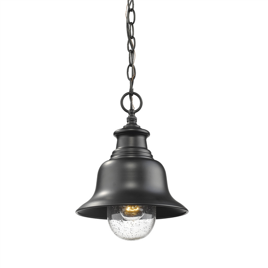Millennium 2514-PBK | Single Light 9" Wide Outdoor Mini Pendant with Glass Shade