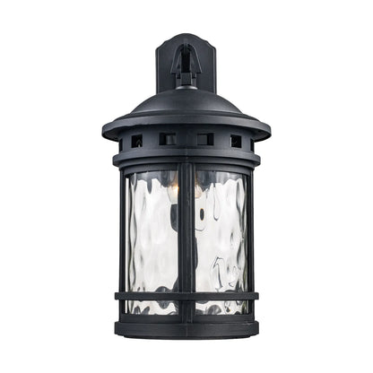 Trans Globe 40372BK | Boardwalk Single Light 20" Tall Outdoor Wall Sconce with Water Glass Shade