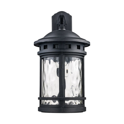 Trans Globe 40372BK | Boardwalk Single Light 20" Tall Outdoor Wall Sconce with Water Glass Shade