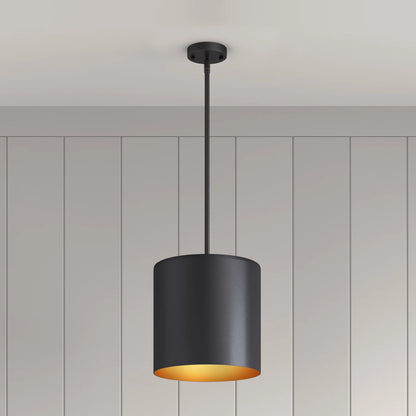 Signature Hardware 484464 | Hedgeway 10" Wide LED Pendant in Black Finish