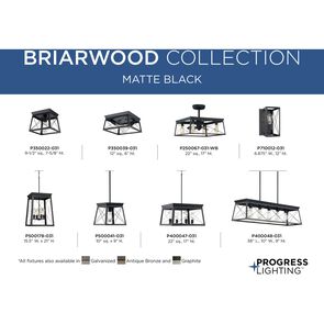 Progress Lighting P400047-031 |  Briarwood 4 Light 20" Wide Chandelier in Black