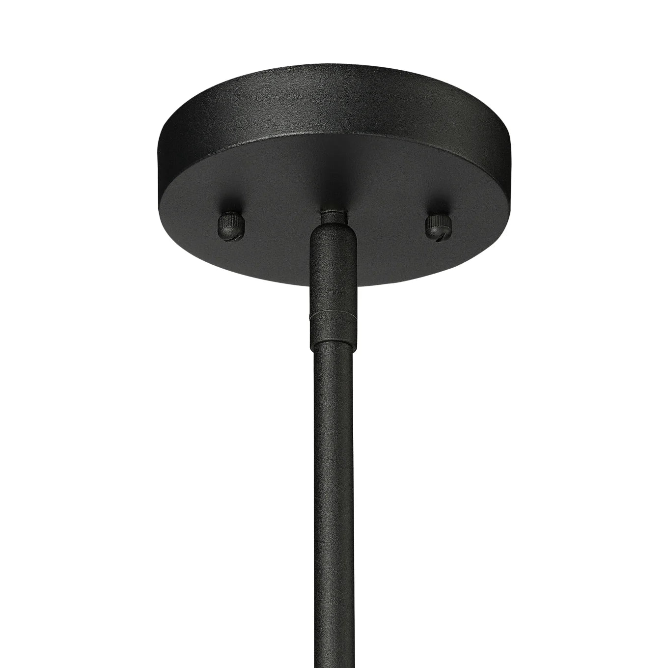 Signature Hardware 484464 | Hedgeway 10" Wide LED Pendant in Black Finish