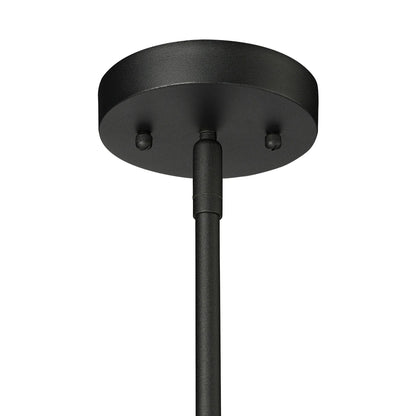 Signature Hardware 484464 | Hedgeway 10" Wide LED Pendant in Black Finish