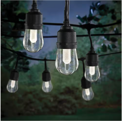 Hampton Bay 1006 787 899 | Indoor/Outdoor 12-Light 24 ft. Smart Plug-in Edison Bulb RGBW Color Changing LED String Light Powered by Hubspace