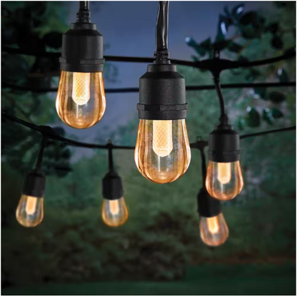 Hampton Bay 1006 787 899 | Indoor/Outdoor 12-Light 24 ft. Smart Plug-in Edison Bulb RGBW Color Changing LED String Light Powered by Hubspace