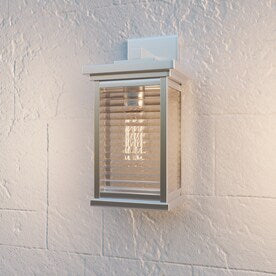 Gardner 1-Light 12-in Stainless Steel Outdoor Wall Light GAR8406SS