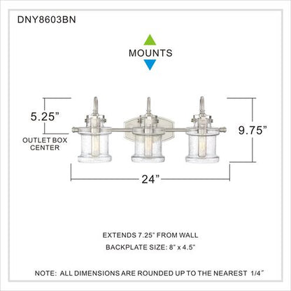 Quoizel DNY8603BN | Danbury 3 Light 24 inch Brushed Nickel Bath Light Wall Light