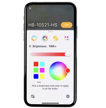 Hampton Bay 1006 787 899 | Indoor/Outdoor 12-Light 24 ft. Smart Plug-in Edison Bulb RGBW Color Changing LED String Light Powered by Hubspace