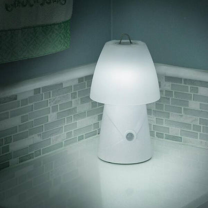 Sensor Brite LED Night Light Lamp