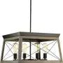Progress Lighting Briarwood 4 Light 20" Wide Chandelier Antique Brass